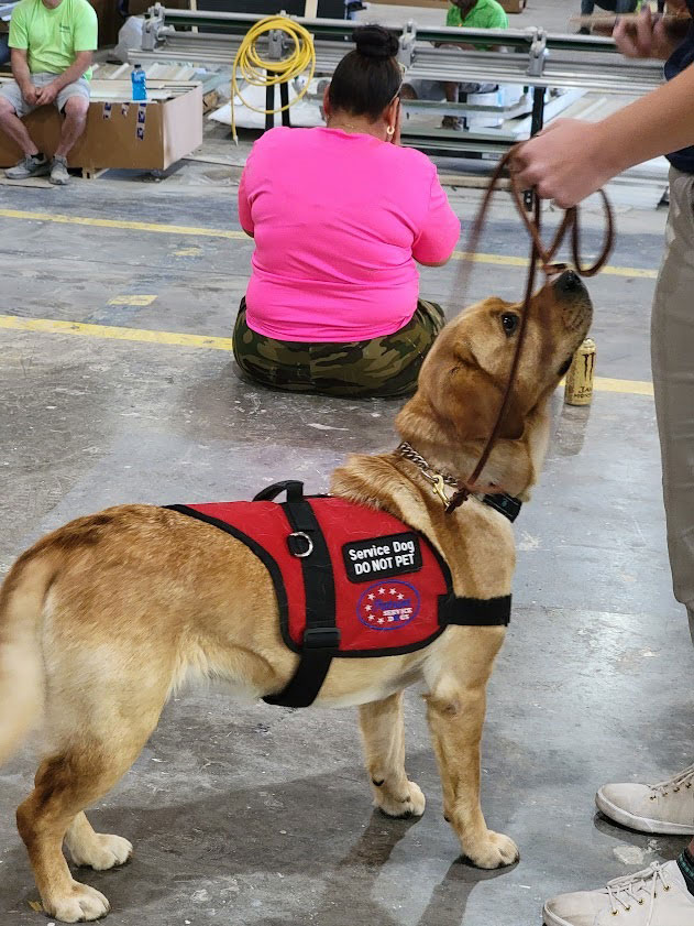 Athena the Patriot Service Dog | Chariot Eagle Manufactured Homes